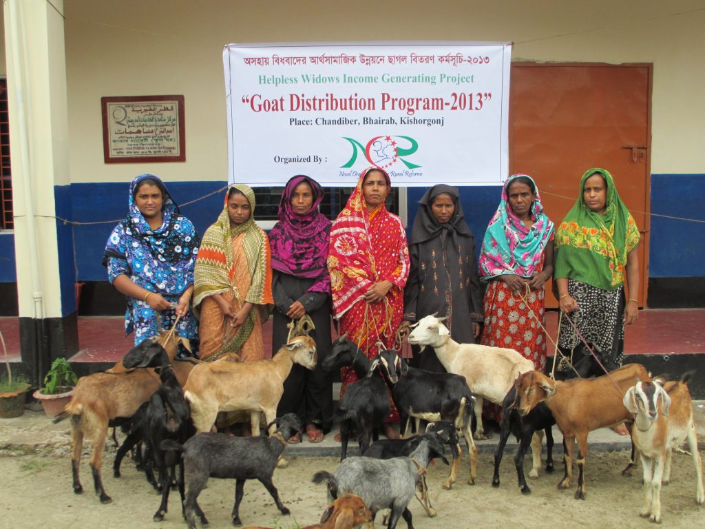 Widow Empowerment program by Novel Organization for Rural reforms